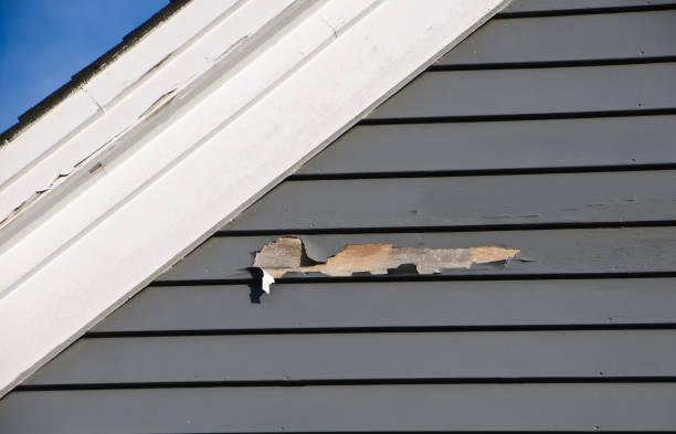 Best Construction Debris Removal  in Masury, OH